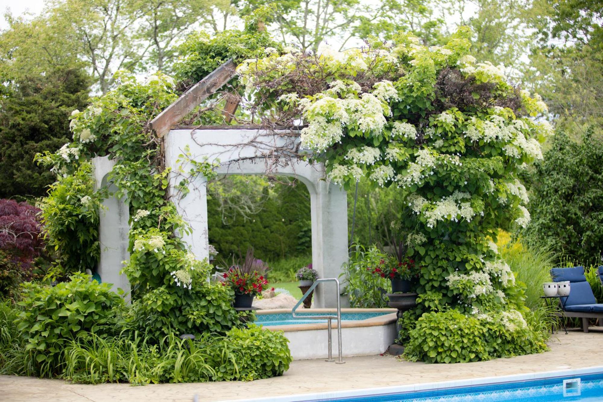The Villa Bed And Breakfast Уэстерли Экстерьер фото